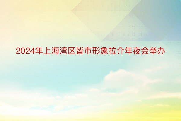 2024年上海湾区皆市形象拉介年夜会举办