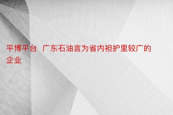 平博平台  广东石油言为省内袒护里较广的企业